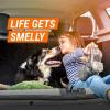 imageArmor All Car Air Freshener and Purifier Car Odor Eliminator 15 Ounce Pack of 3
