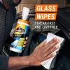imageArmor All Car Cleaning Wipes Kit Includes Protectant Wipes Disinfectant Wipes Glass Cleaner Wipes for Cars Trucks and Motorcycles Pack of 3