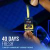 imageArmor All Podium Series Hanging Car Air Freshener Logo Helmet Lights Out Scent 6 Pack RacingInspired Auto Air Freshener With LongLasting FragranceVictory Lap All Access Pass Hanging Air Freshener