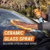 imageArmor All Ultimate Car Detailing Kit Includes Car Wash Glass Cleaner Tire Cleaner Microfiber Accessories 9 Piece Kit